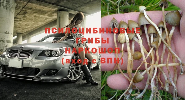 дмт Арсеньев