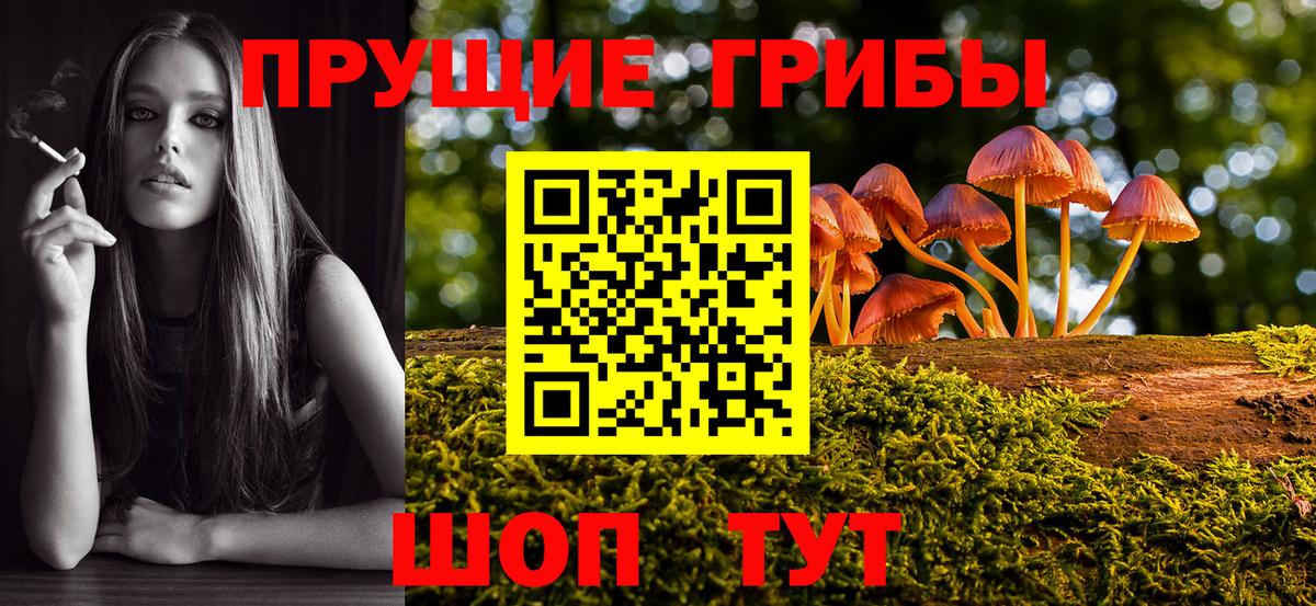 где можно купить   Вход с VPN  Саянск  Галлюциногенные грибы MAGIC MUSHROOMS 