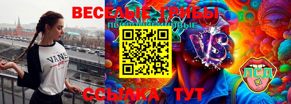Галлюциногенные грибы прущие грибы Саянск